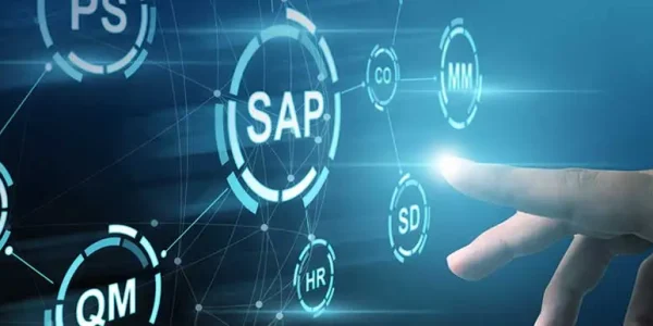 Navigating Growth: Your Journey to Truly Rise with SAP